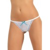 Jadea intimo 1482